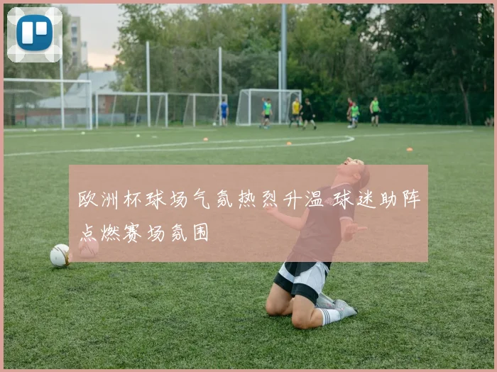 欧洲杯球场气氛热烈升温 球迷助阵点燃赛场氛围