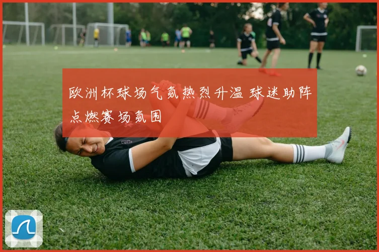 欧洲杯球场气氛热烈升温 球迷助阵点燃赛场氛围