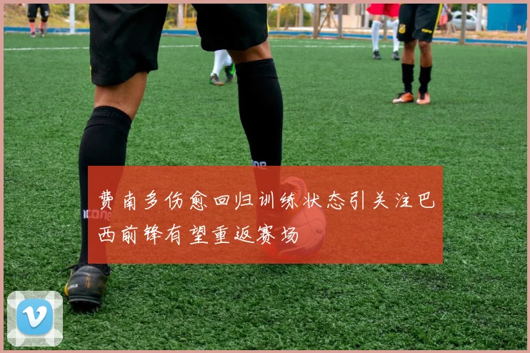 费南多伤愈回归训练状态引关注巴西前锋有望重返赛场