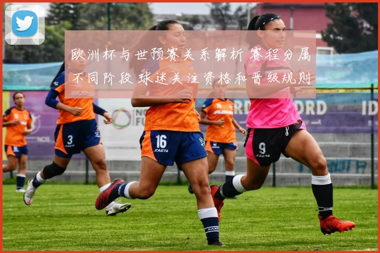欧洲杯与世预赛关系解析 赛程分属不同阶段 球迷关注资格和晋级规则