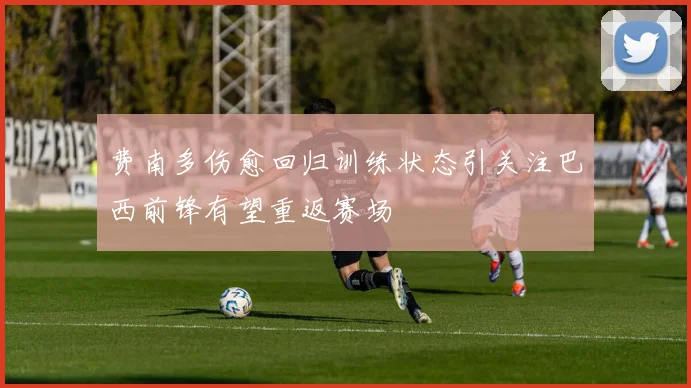 费南多伤愈回归训练状态引关注巴西前锋有望重返赛场