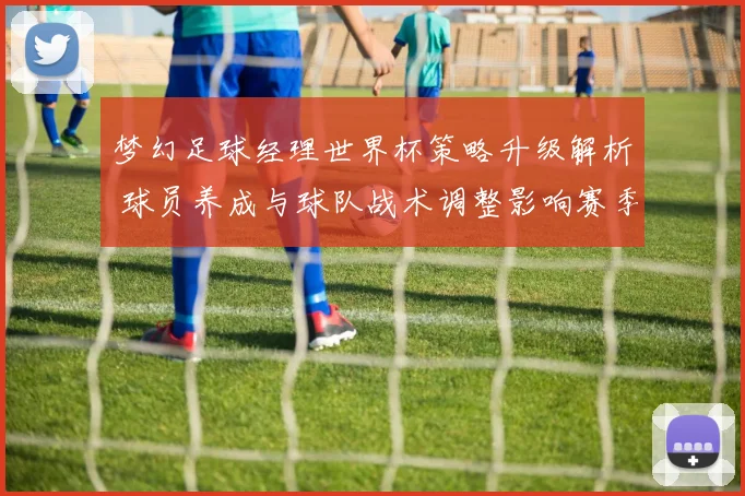 梦幻足球经理世界杯策略升级解析 球员养成与球队战术调整影响赛季走势