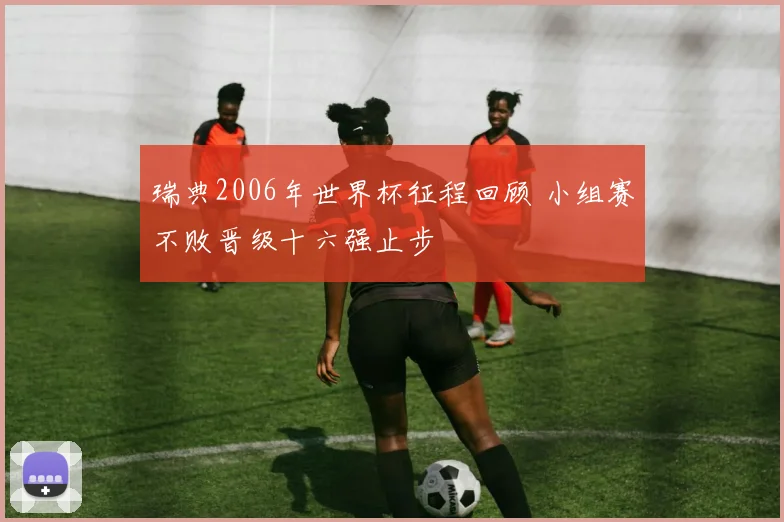 瑞典2006年世界杯征程回顾 小组赛不败晋级十六强止步