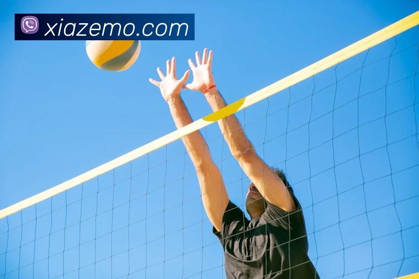 leyu体育官网APP 封面图